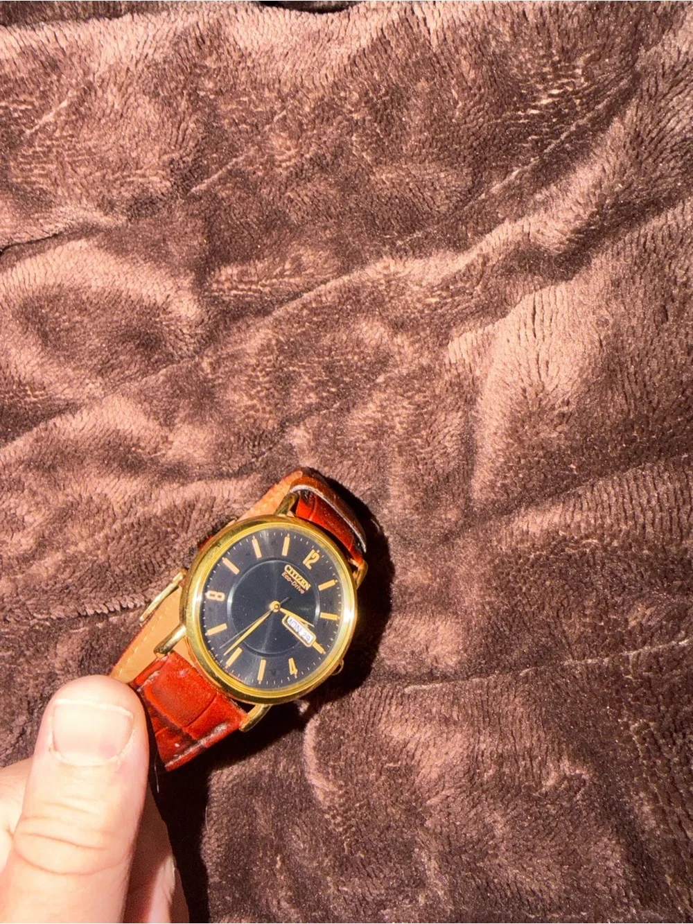 Citizen Men's Black Dial Watch with Brown Leather Strap and Gold Case